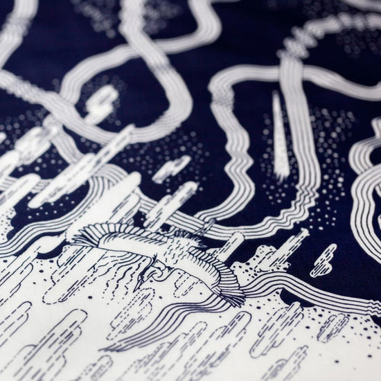 Furoshiki Hida Express by Link Collective