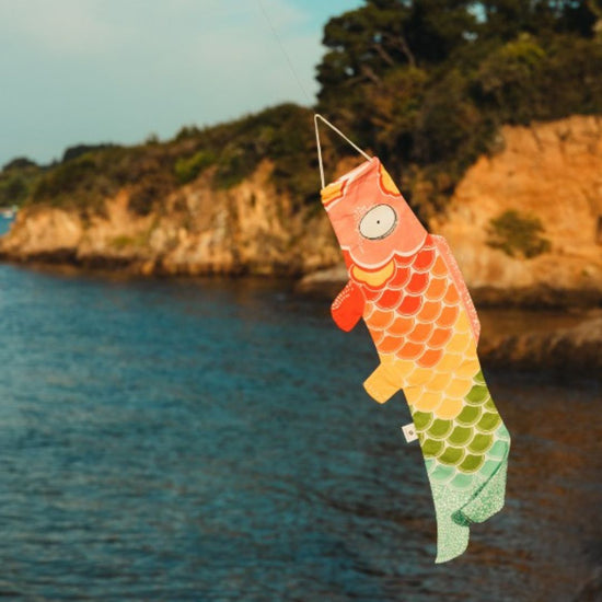 Koinobori karpervlag Rainbow 70cm