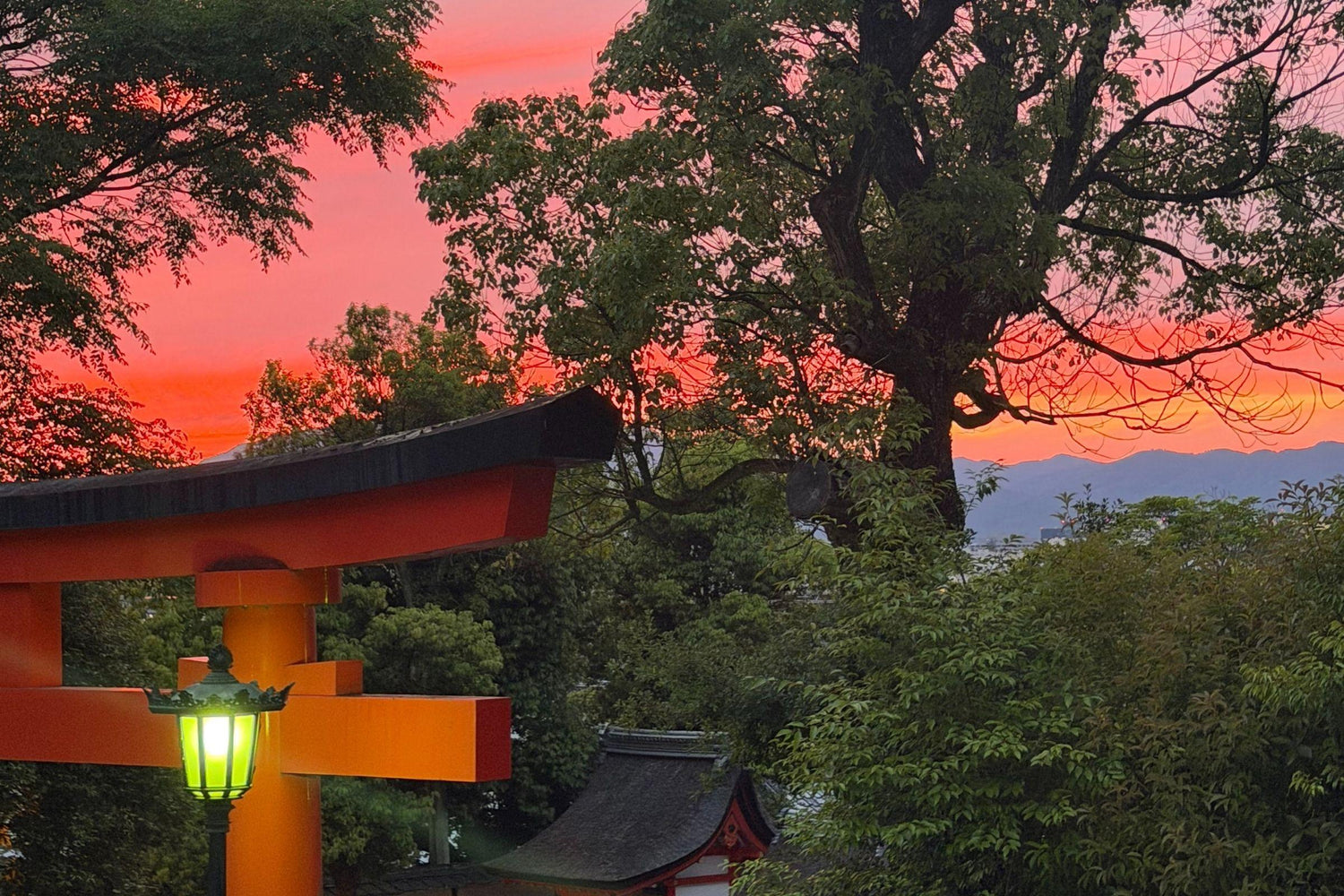 Zansho: een Japanse zomer traditie