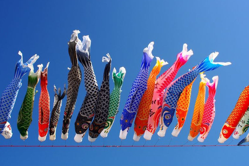 Waarom zie je in mei overal Koinobori's in Japan?