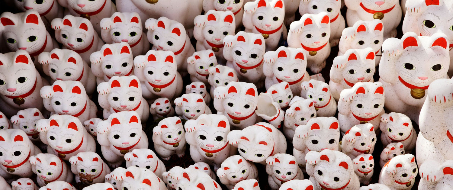 Japanse gelukskatje: de Maneki Neko