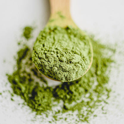 Matcha Biologisch Top Grade Ceremonial Okumidori