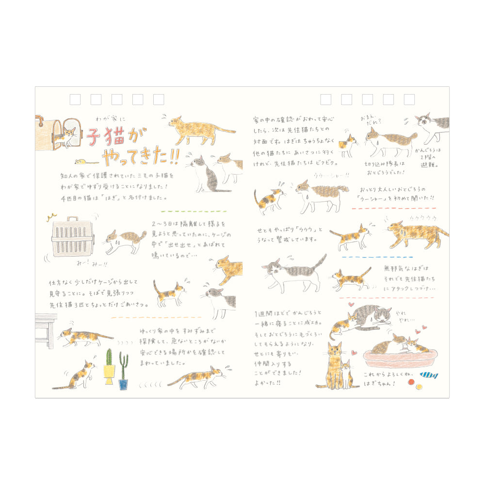 Midori Kalender 2026 Ring Cats Medium