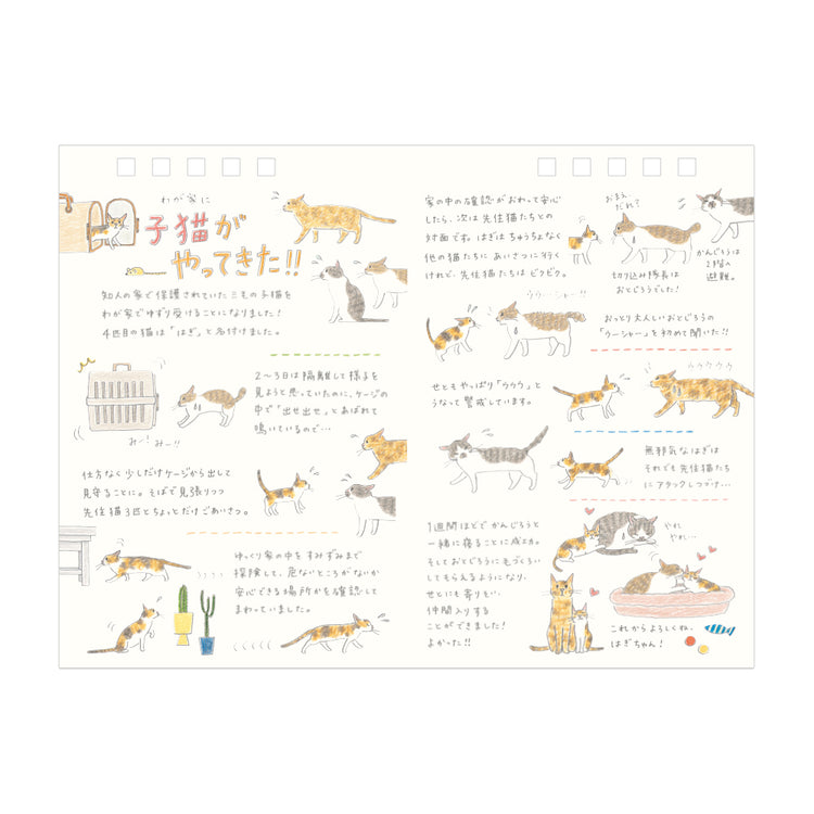 Midori Kalender 2026 Ring Cats Medium