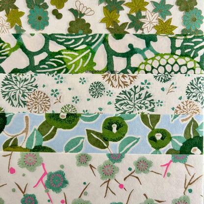 Shogado Origamipapier Kyoto | Green | 10 Velletjes met Japanse Patronen (kopie)