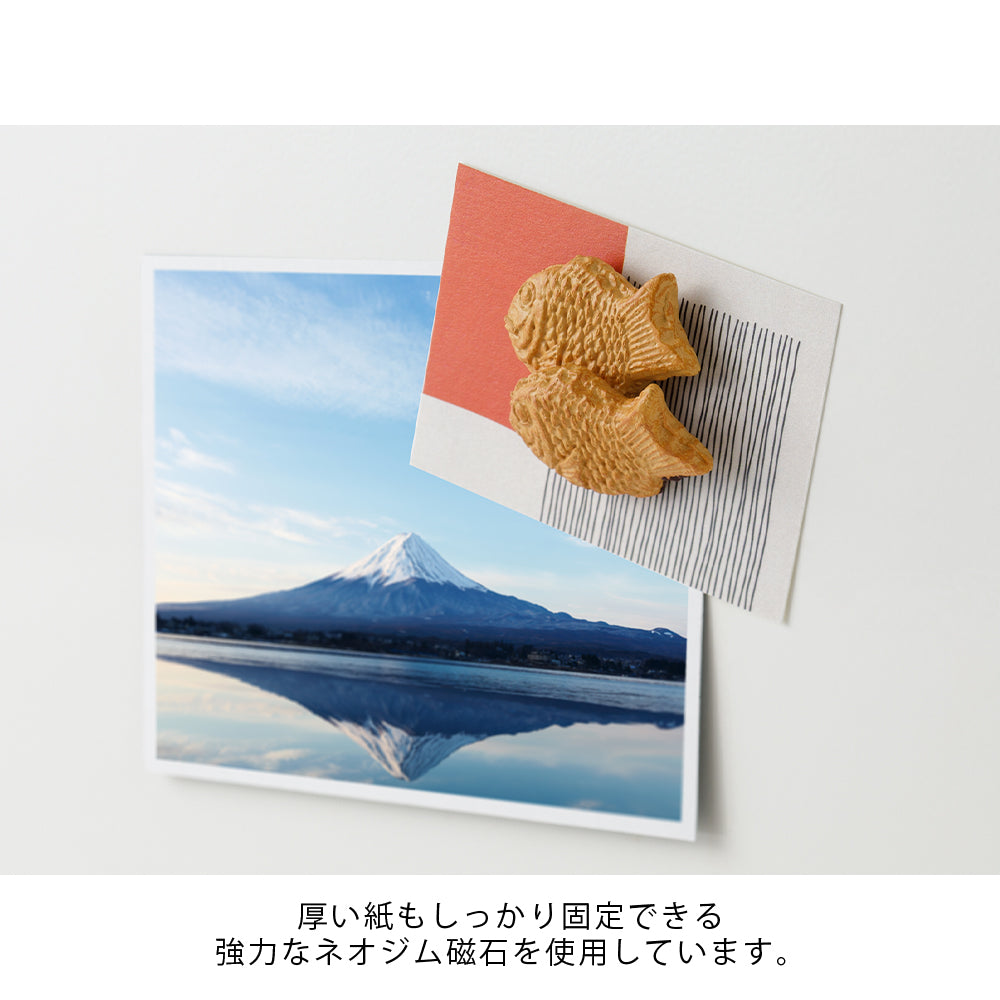 Midori Miniture Magnet Taiyaki