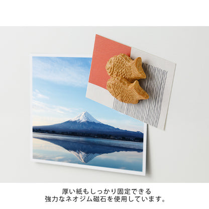 Midori Miniture Magnet Taiyaki