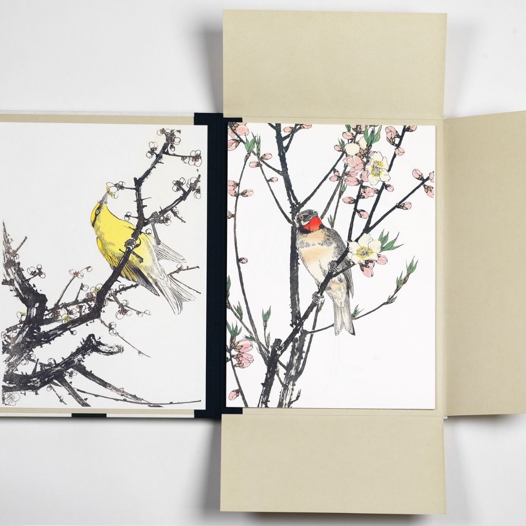 Portfolio prints Japanse vogels