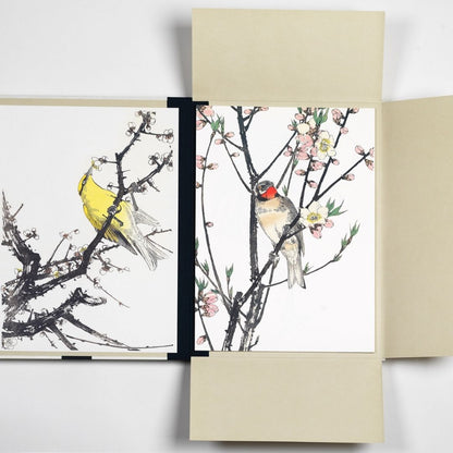 Portfolio prints Japanse vogels