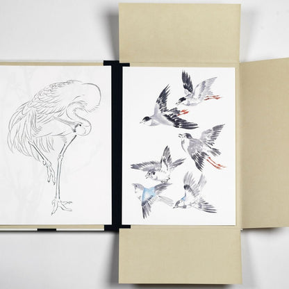 Portfolio prints Japanse vogels