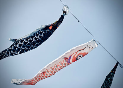 Koinobori karpervlag Rood