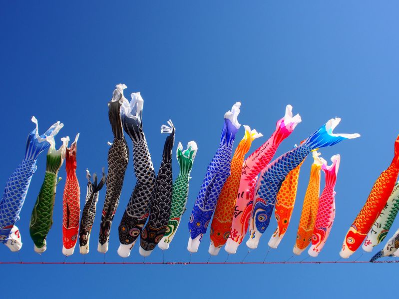 Koinobori karpervlag Groen