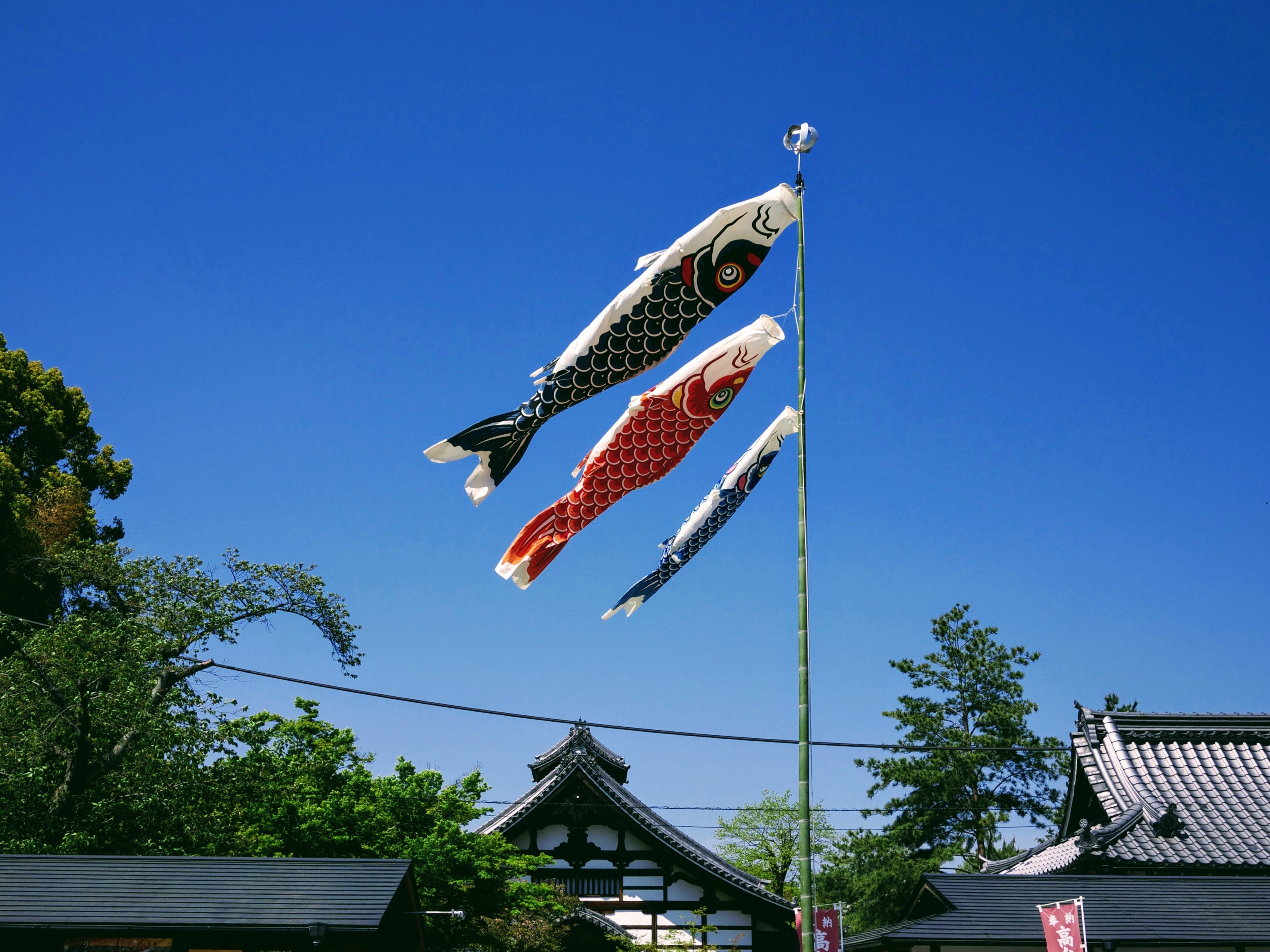Koinobori karpervlag Oranje