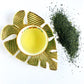Japanse groene thee Tamaryokucha Sae uit Sonogi